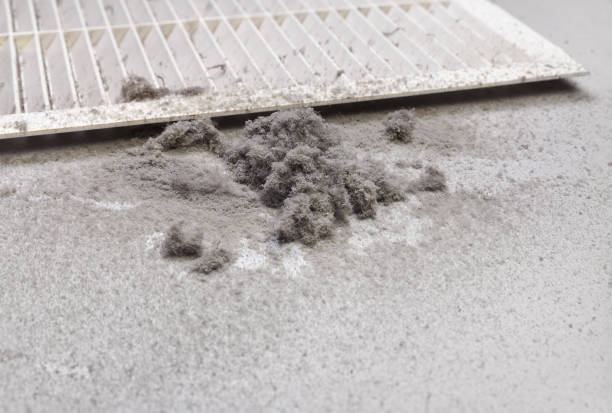 Best Dryer Vent Cleaning Services  in Eden Isle, LA